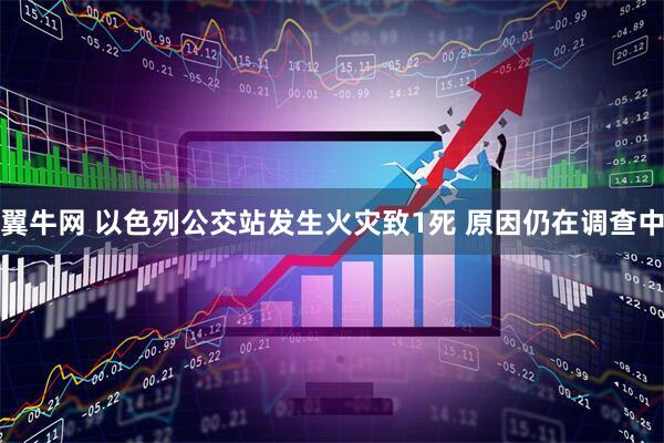 翼牛网 以色列公交站发生火灾致1死 原因仍在调查中