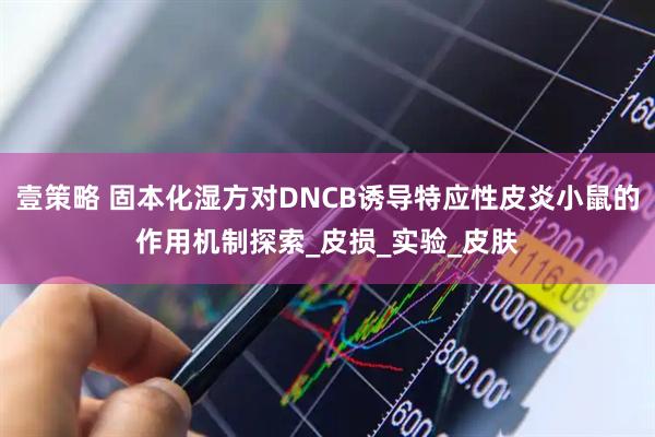 壹策略 固本化湿方对DNCB诱导特应性皮炎小鼠的作用机制探索_皮损_实验_皮肤
