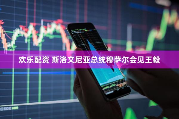 欢乐配资 斯洛文尼亚总统穆萨尔会见王毅
